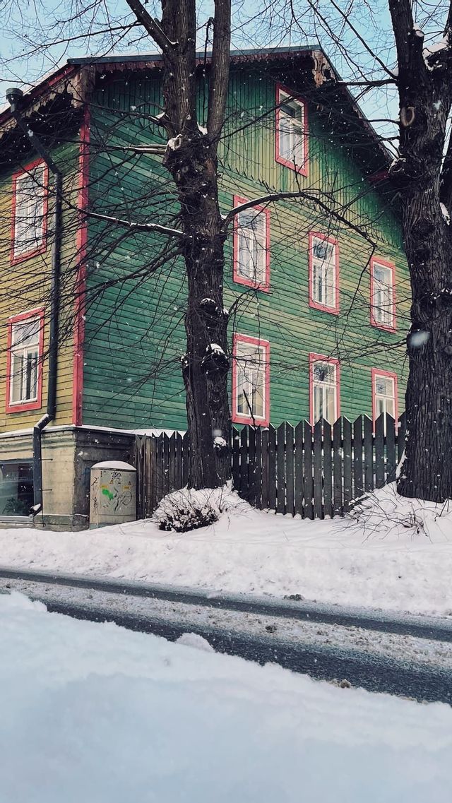 Une maison en bois verte aux encadrements de fenêtres roses se dresse derrière deux arbres dénudés et une clôture en bois un jour de neige.
