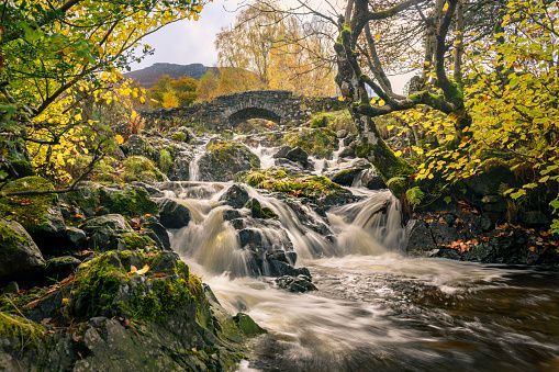 A stream cascades over mossy rocks under an old stone bridge, framed by trees with yellow autumn leaves.