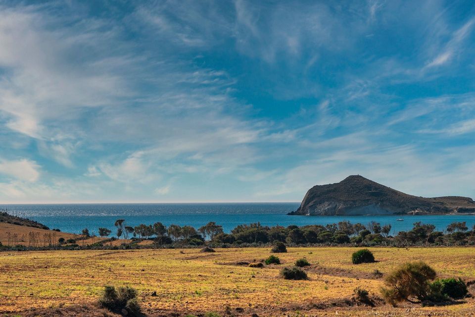 Un campo erboso e arido incontra il mare blu, con una grande isola rocciosa sullo sfondo sotto un cielo azzurro con nuvole bianche striate.