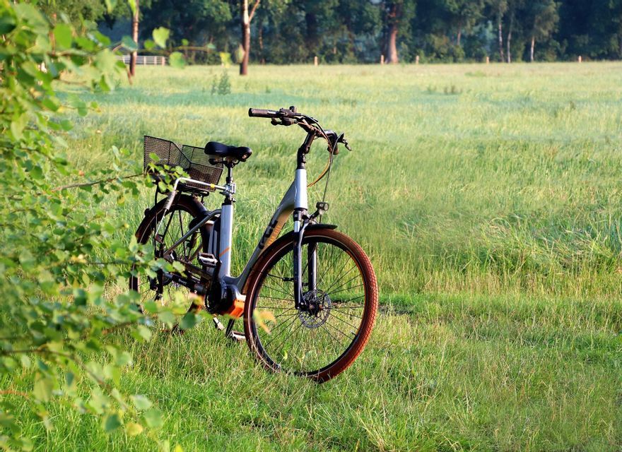 Una bicicletta elettrica argentata con un cestino posteriore è parcheggiata in un prato verde lussureggiante con una fila di alberi sullo sfondo.