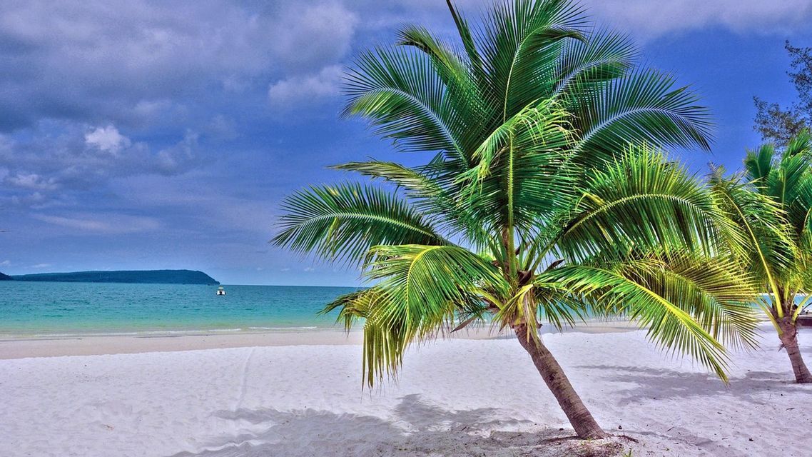 Des palmiers se penchent sur une plage de sable blanc au bord d'une eau turquoise, avec une île lointaine à l'horizon sous un ciel nuageux.