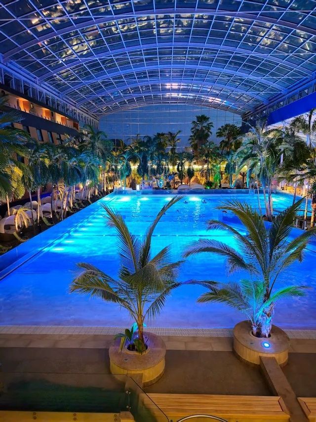 Una grande piscina coperta illuminata di blu di notte, circondata da palme sotto un soffitto di vetro ad arco.