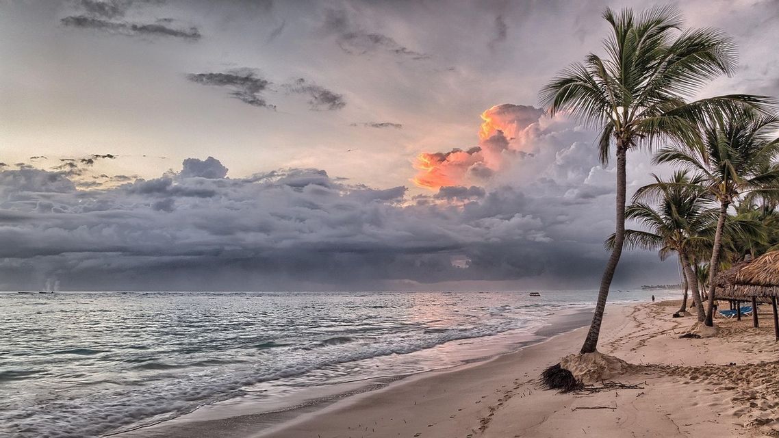 Des palmiers sur une plage de sable fin, avec de douces vagues caressant le rivage, sous un ciel chargé de nuages sombres illuminés par le soleil couchant.