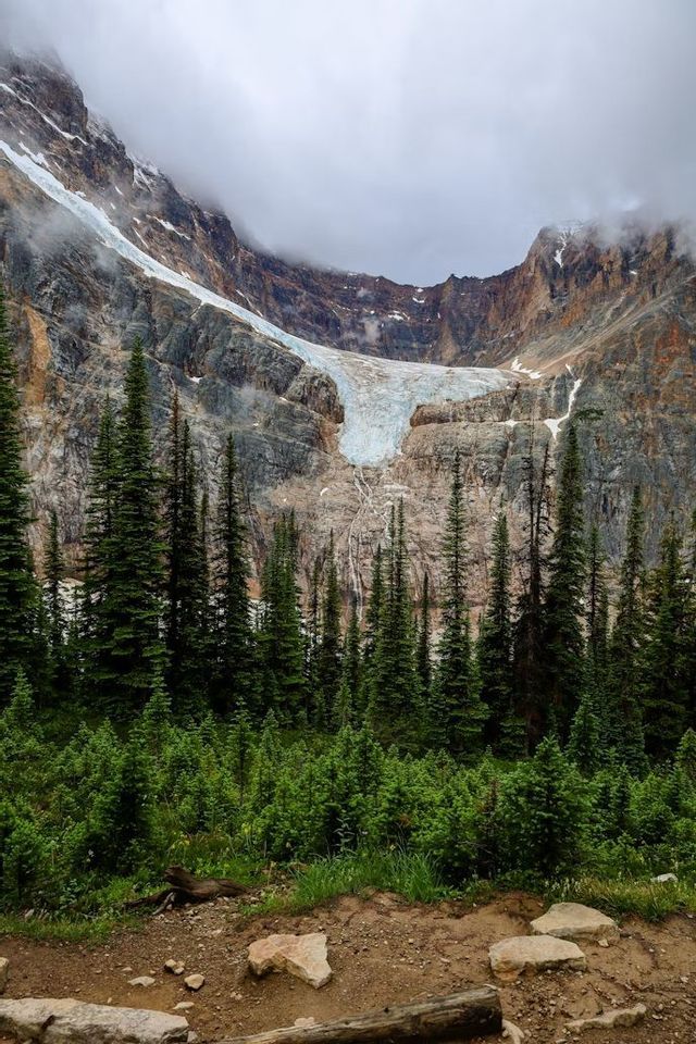 Un gran glaciar se asienta sobre una montaña rocosa y cubierta de nubes, con un denso bosque de altos pinos verdes en primer plano.
