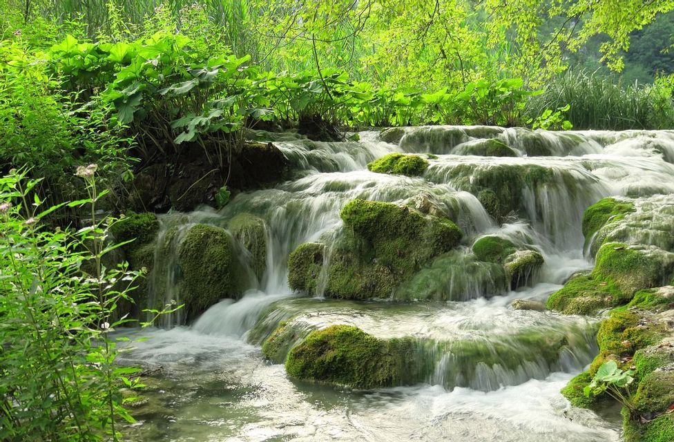 Ein kleiner Wasserfall fließt über moosbewachsene Felsen in einem üppigen, grünen Wald.