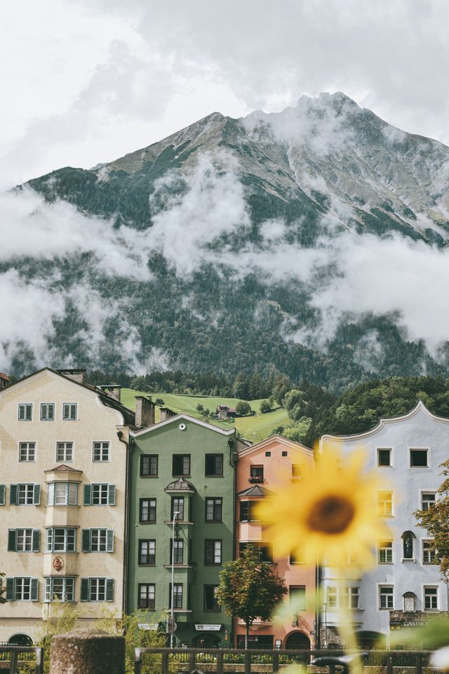 Eine Reihe bunter Gebäude steht am Fuße eines großen, wolkenverhangenen Berges, mit einer unscharfen Sonnenblume im Vordergrund.