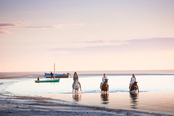 A WeRoad group trip with three women riding horses through the shallow water along a beach during a calm sunset.