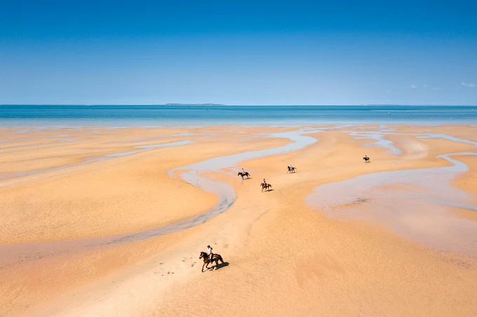 An aerial view of five people riding horses across a vast, sandy beach at low tide with the blue sea in the background.