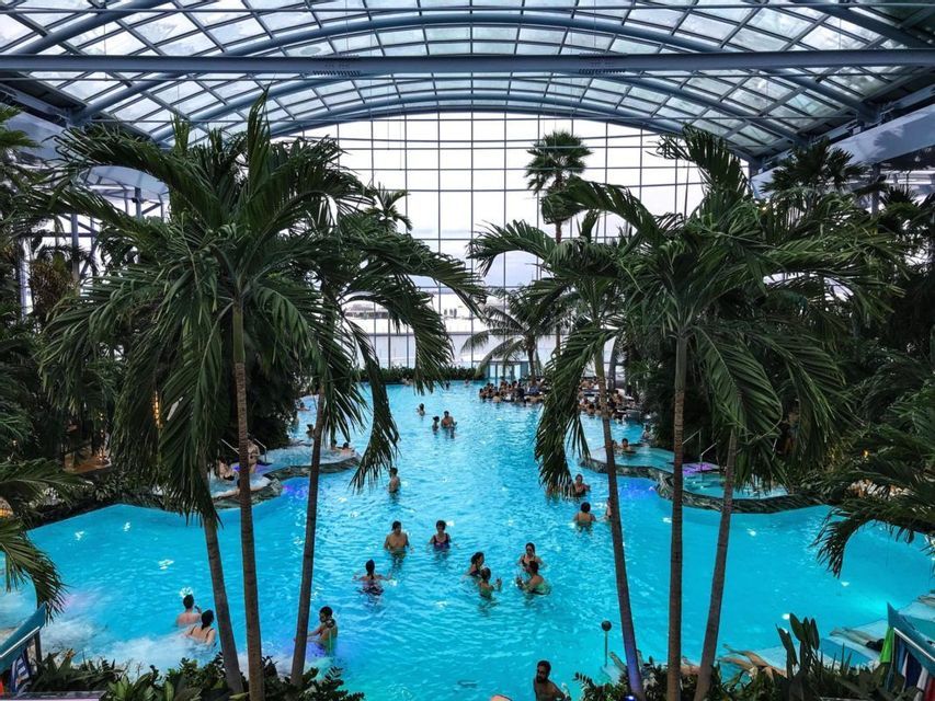 An elevated view of people relaxing in a large indoor swimming pool surrounded by palm trees under a curved glass ceiling.