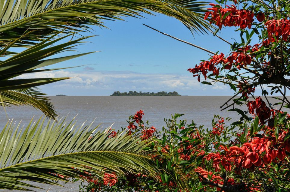 Una piccola isola lontana si erge su acque calme, incorniciata da verdi fronde di palma e vivaci fiori rossi sotto un cielo azzurro.