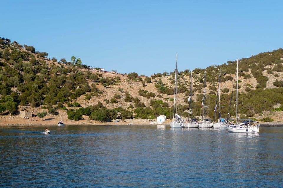 Una fila di barche a vela ancorate in una cala tranquilla ai piedi di una costa collinare e alberata sotto un cielo azzurro e limpido.