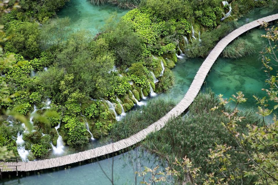 An aerial view of a winding wooden footbridge crossing over clear turquoise water, surrounded by lush green foliage and small waterfalls.