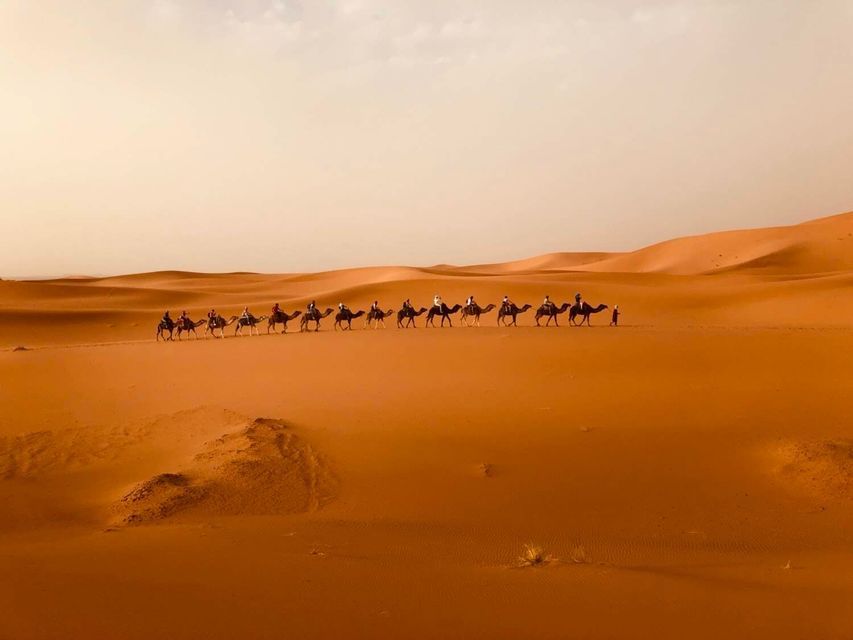 A WeRoad group trip riding a camel caravan across large orange sand dunes in the desert.