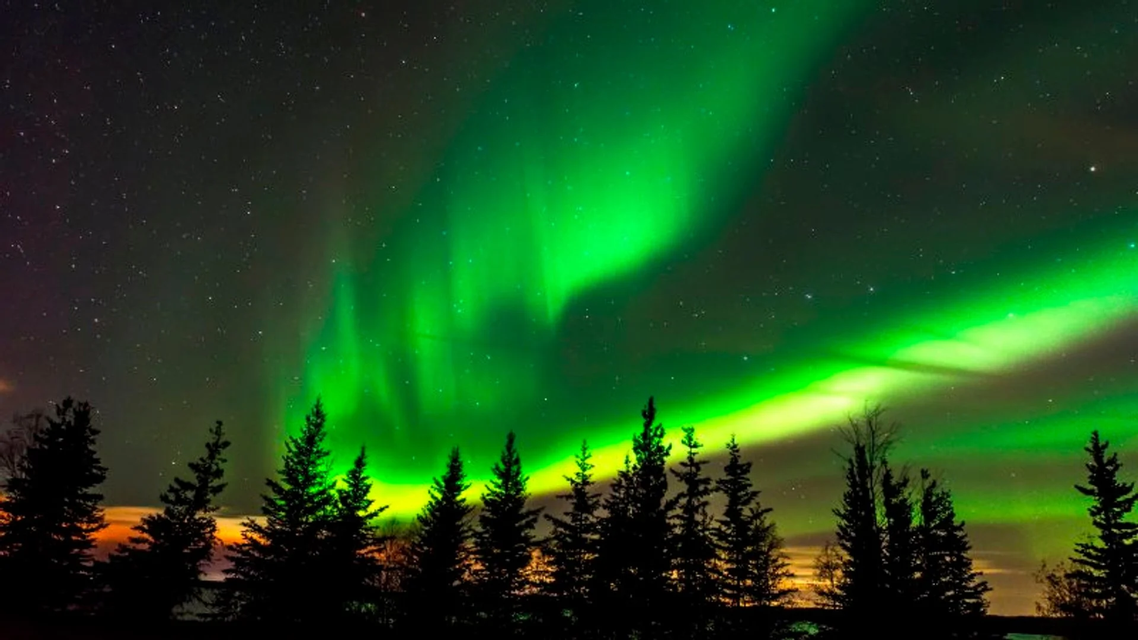L'aurora boreale verde danza nel cielo notturno stellato, illuminando le sagome dei pini sottostanti.