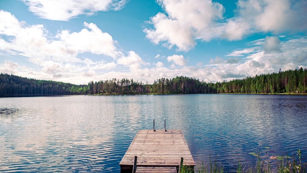Un pontile di legno con una scala si estende in un lago calmo circondato da una fitta foresta sotto un cielo parzialmente nuvoloso.