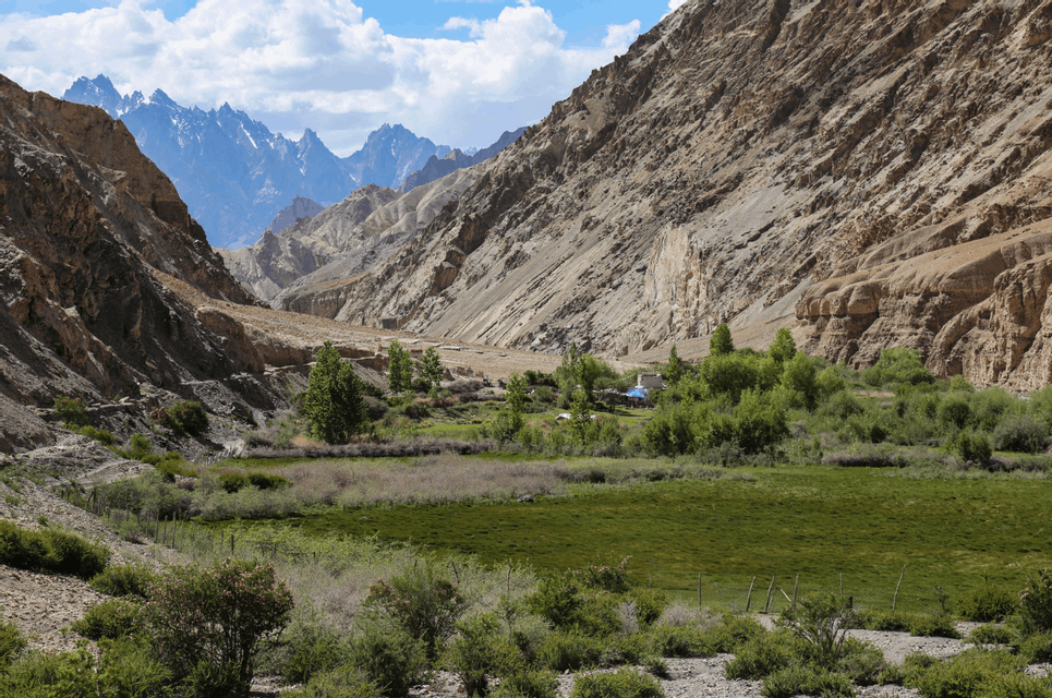 A lush green valley with scattered trees sits between steep, rocky canyon walls, with distant snow-capped mountains under a cloudy sky.