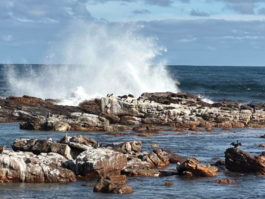 Una grande onda oceanica si infrange contro una costa rocciosa dove uccelli marini e foche riposano sotto un cielo parzialmente nuvoloso.