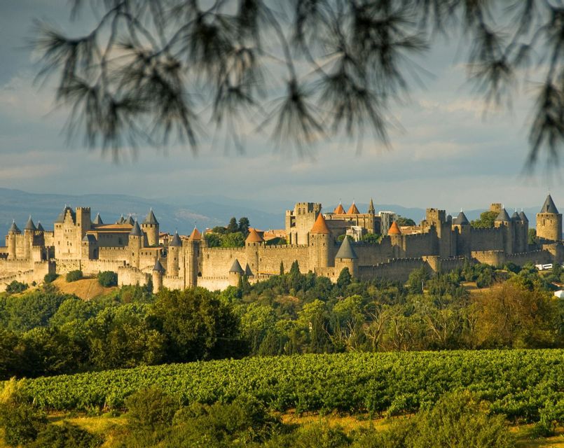 Un château médiéval en pierre avec de nombreuses tourelles est perché sur une colline au-dessus d'un vignoble verdoyant, aperçu à travers des aiguilles de pin floues.