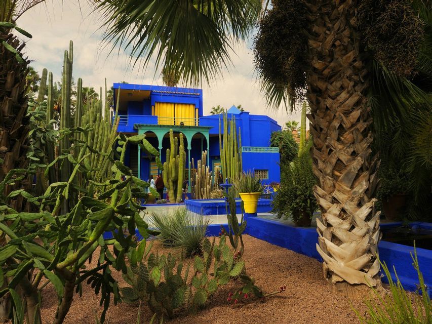 Un bâtiment bleu vif avec des accents jaunes se dresse dans un jardin désertique rempli de divers types de cactus et de palmiers.
