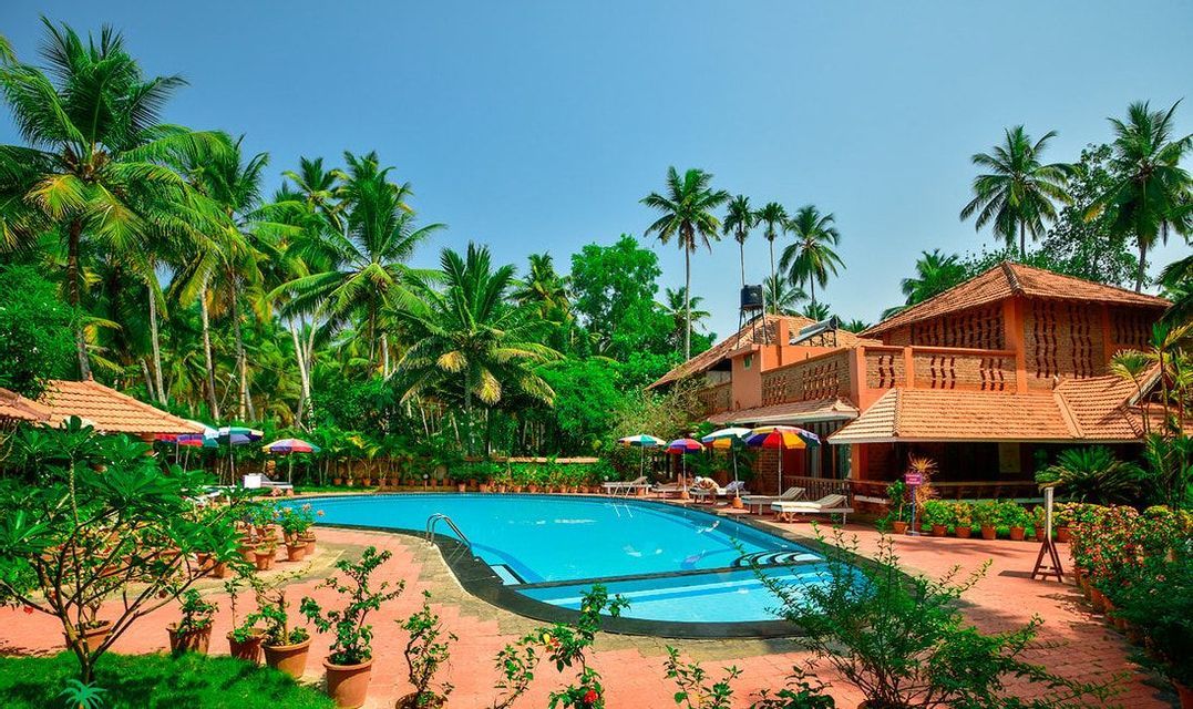 Una piscina di un resort circondata da piante in vaso, sedie a sdraio e alte palme sotto un cielo sereno.