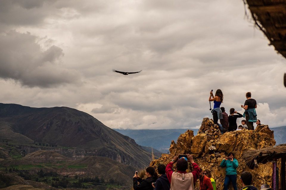 Un viaggio di gruppo WeRoad su un punto panoramico roccioso fotografa un condor che vola su un canyon di montagna sotto un cielo nuvoloso.