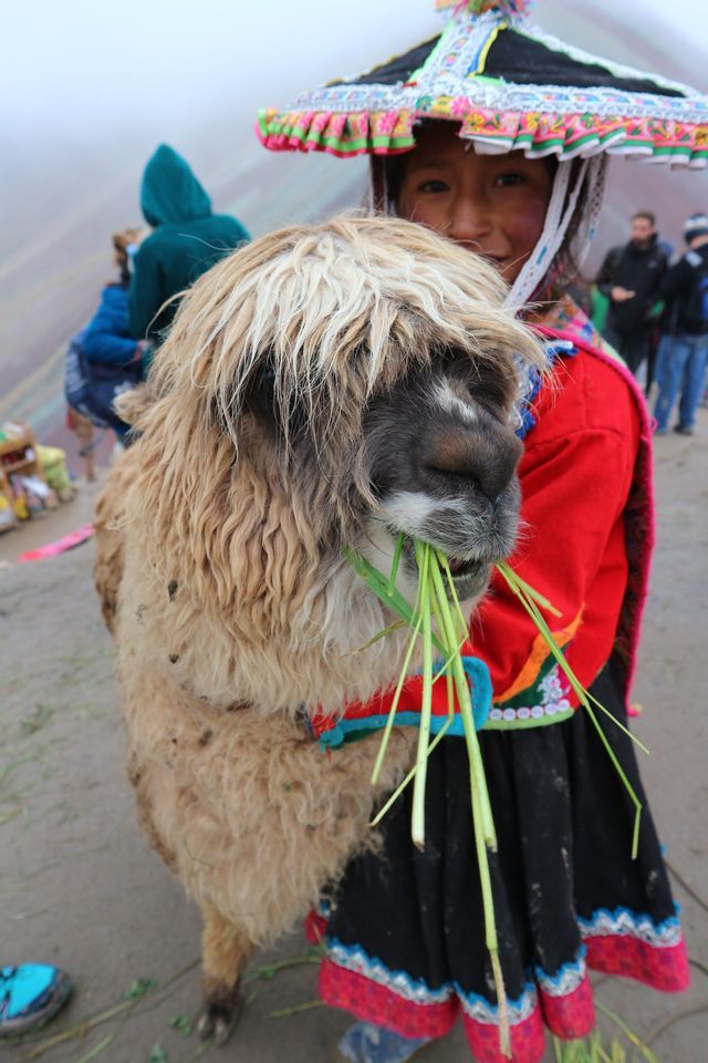 Una persona sonriente con un sombrero y atuendo tradicional colorido sostiene una llama peluda que come hierba verde.