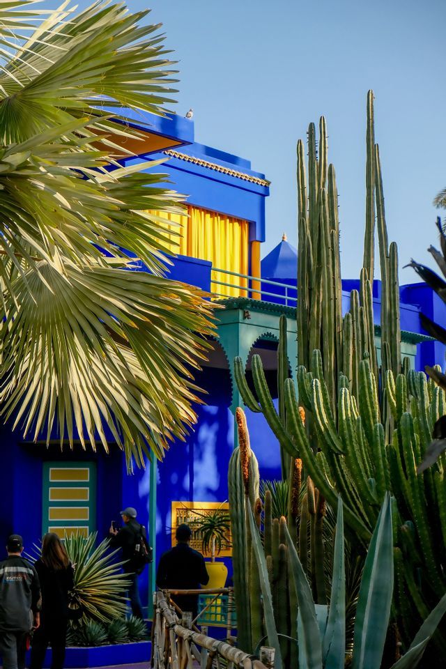 Un bâtiment bleu vif avec des rideaux jaunes est en partie masqué par de grands cactus verts et des feuilles de palmier sous un ciel dégagé.