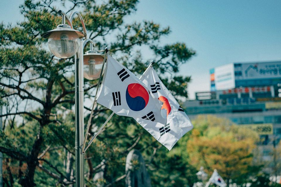 Two South Korean flags attached to a metal lamppost wave in the wind, with a green tree and blue sky in the background.