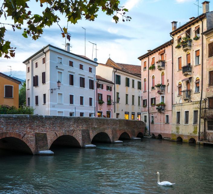 Un cigno bianco nuota in un fiume che scorre sotto un vecchio ponte di mattoni, con edifici colorati che fiancheggiano la riva.
