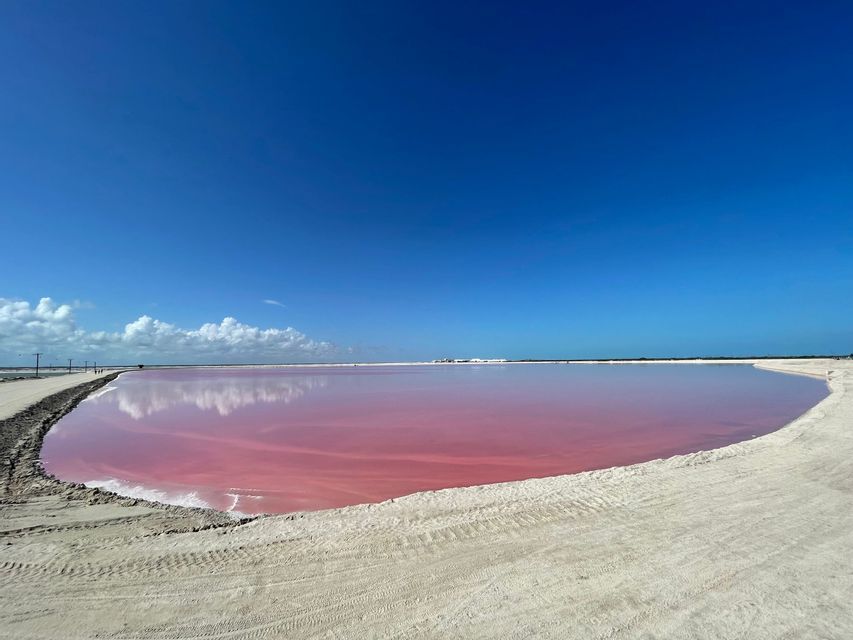 A vibrant pink lake with a sandy shore reflects white clouds under a clear, deep blue sky.