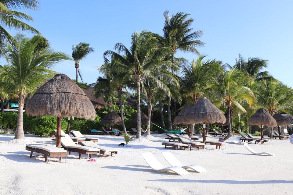Chaises longues et parasols de paille disposés sur une plage de sable blanc bordée de palmiers sous un ciel bleu azur.