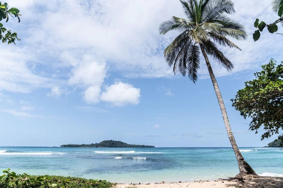Una palma slanciata su una spiaggia sabbiosa domina le acque turchesi dell'oceano con una piccola isola lontana sotto un cielo parzialmente nuvoloso.
