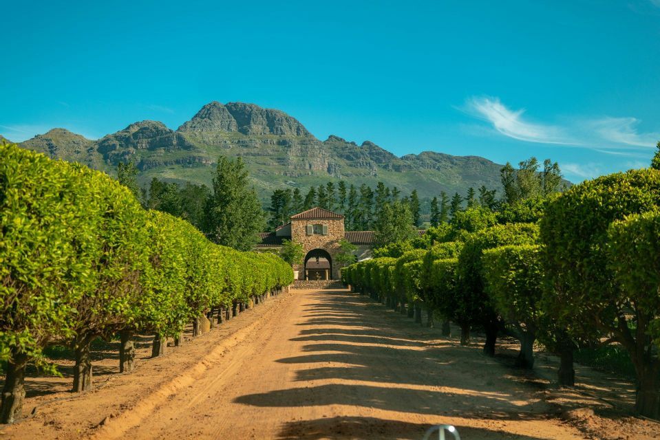 Un chemin de terre bordé de rangées d'arbres verts taillés mène à un bâtiment en pierre au pied d'une grande montagne sous un ciel bleu clair.