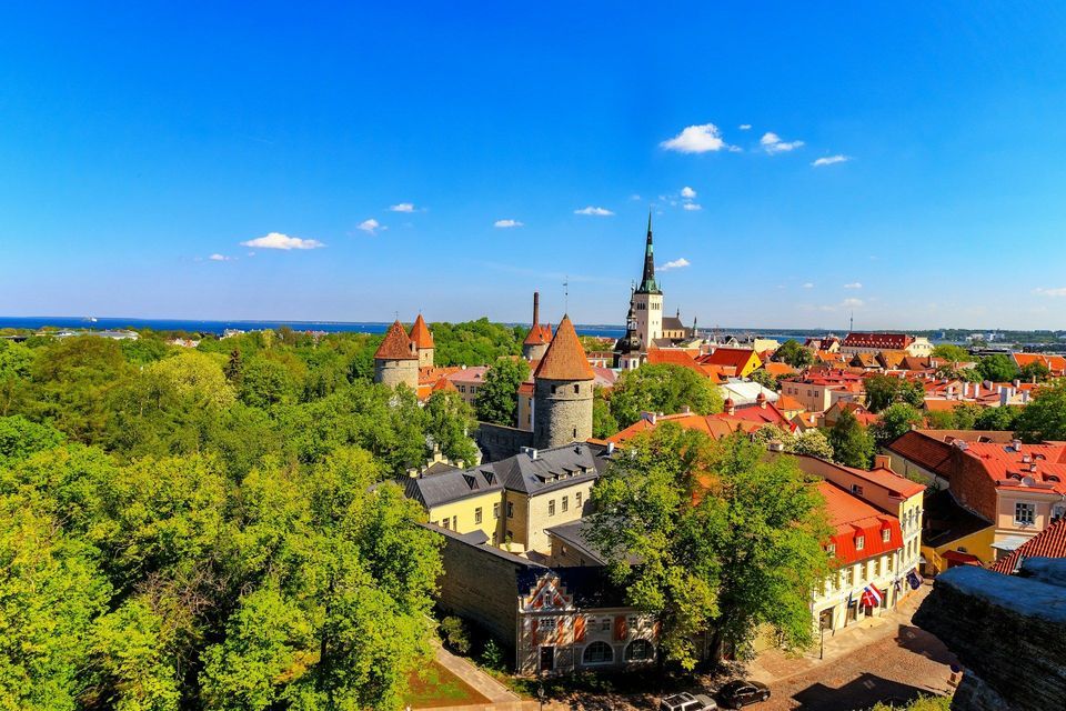 Paesaggio urbano di una città storica con torri medievali e tetti rossi, immersa tra alberi rigogliosi, con il mare visibile all'orizzonte.