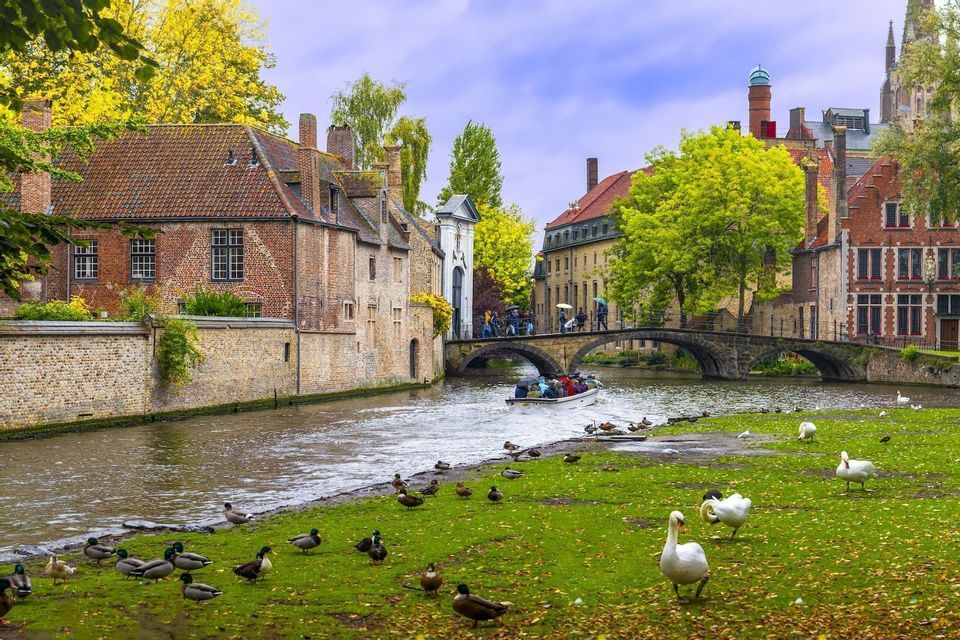 Un voyage de groupe WeRoad en bateau sur un canal, longeant de vieux bâtiments en brique, avec cygnes et canards rassemblés sur une berge herbeuse.