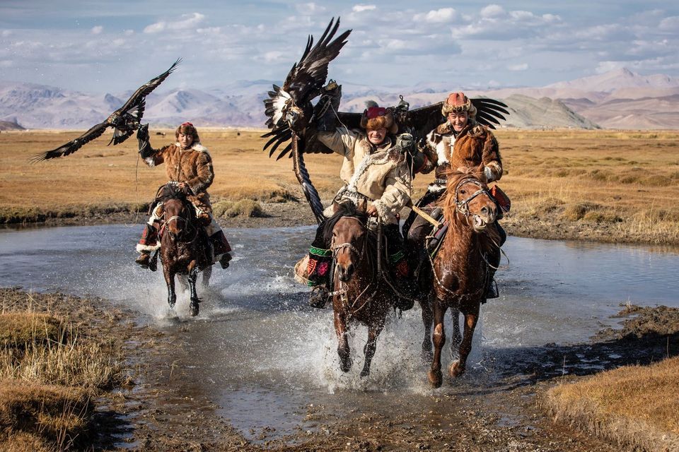 Tres cazadores de águilas con abrigos de piel tradicionales montan a caballo a través de un arroyo, sosteniendo grandes águilas con las alas extendidas.
