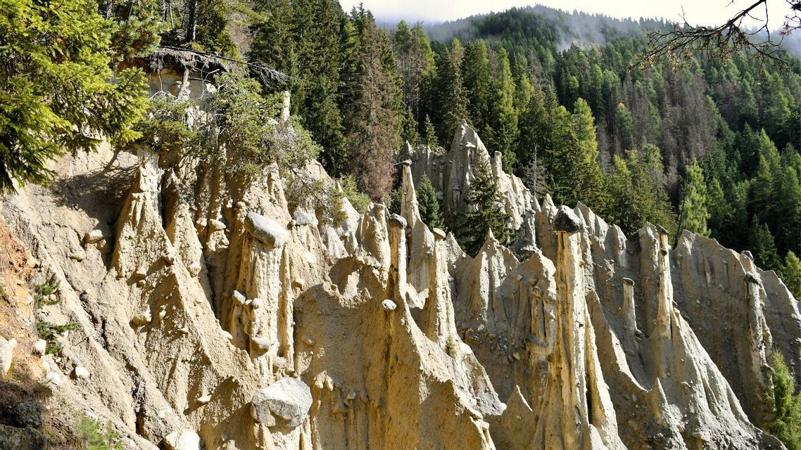 Hohe, spitze Erdpyramidenformationen an einem steilen Hang, mit einem dichten Kiefernwald im Hintergrund.