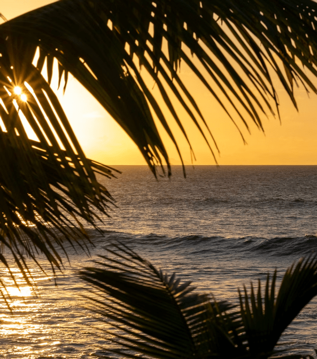 El sol brilla con un efecto de destello a través de las siluetas de palmeras sobre el océano durante un atardecer dorado.