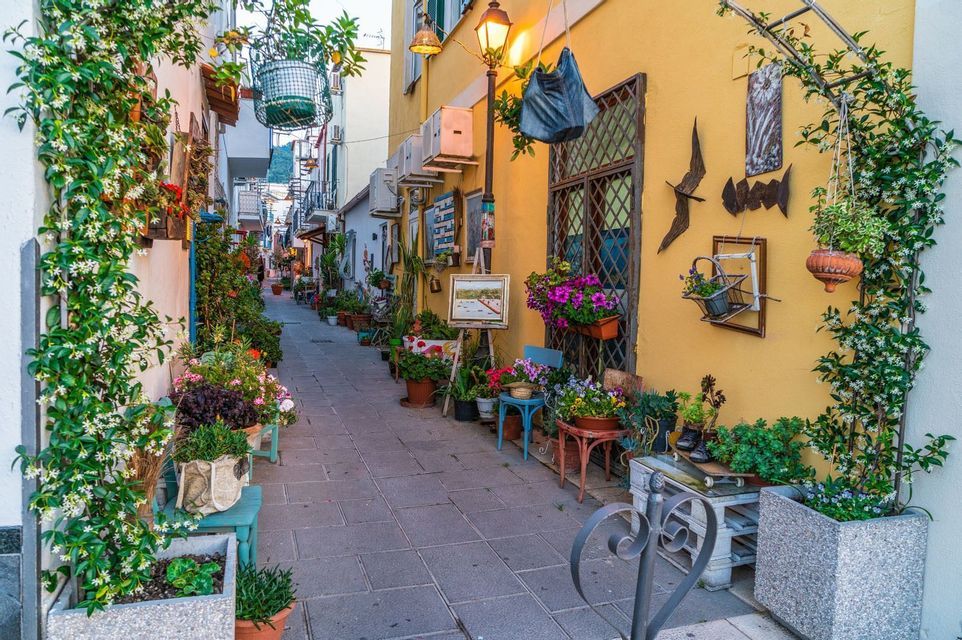 Un vicolo stretto tra edifici colorati, riccamente decorato con piante in vaso, fiori rampicanti e opere d'arte.