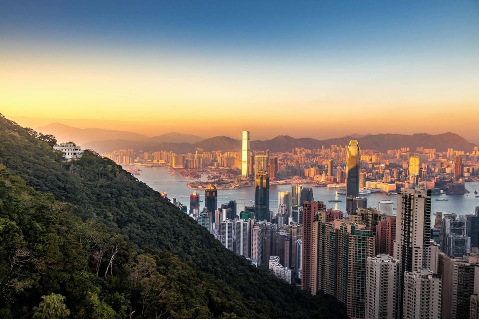 An elevated view of a dense cityscape with skyscrapers along a harbor, seen from a forested mountain slope at sunset.