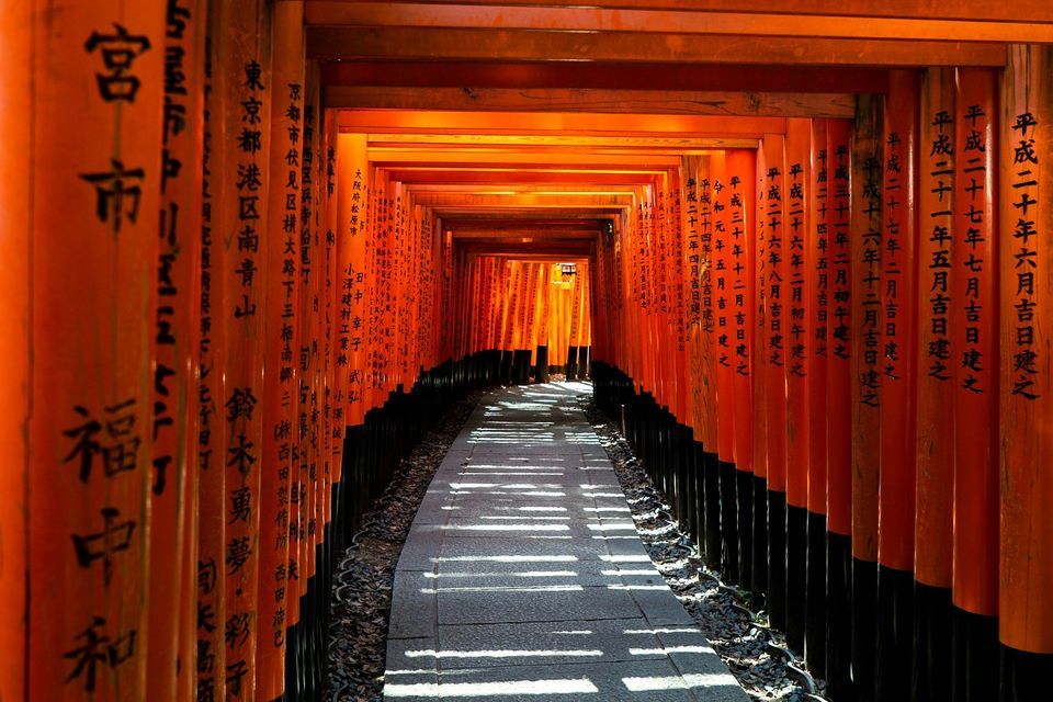 A stone pathway leads through a long tunnel of vibrant orange torii gates inscribed with Japanese calligraphy, casting shadows on the ground.