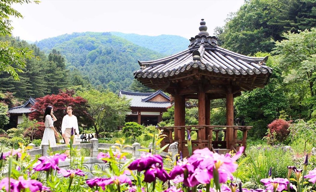 Due donne si trovano su un ponte di pietra in un giardino tradizionale, con una pagoda di legno, fiori viola e colline boscose.