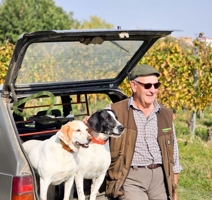Un uomo anziano con berretto e occhiali da sole in piedi accanto a un bagagliaio d'auto aperto, contenente due cani da caccia, con un vigneto sullo sfondo.