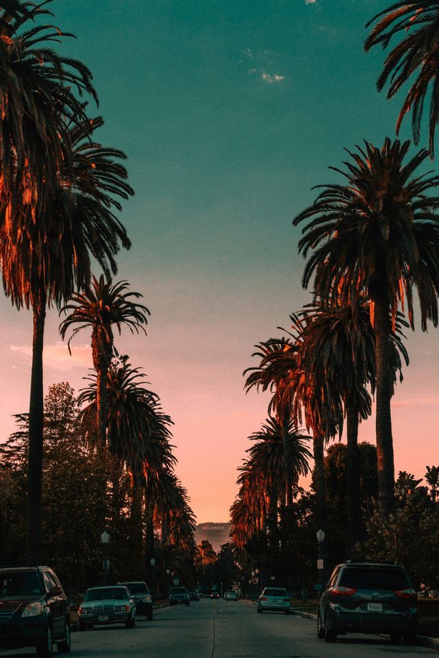 A view down a street lined with tall palm trees, with the Hollywood sign visible on a distant hill at sunset.