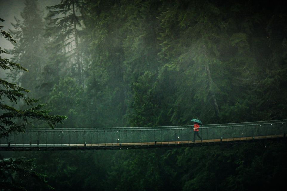 A person in a red jacket holding an umbrella walks across a suspension bridge in a rainy, dense forest.