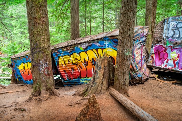 Wrecked train cars covered in colorful graffiti rest among tall trees in a dense forest.