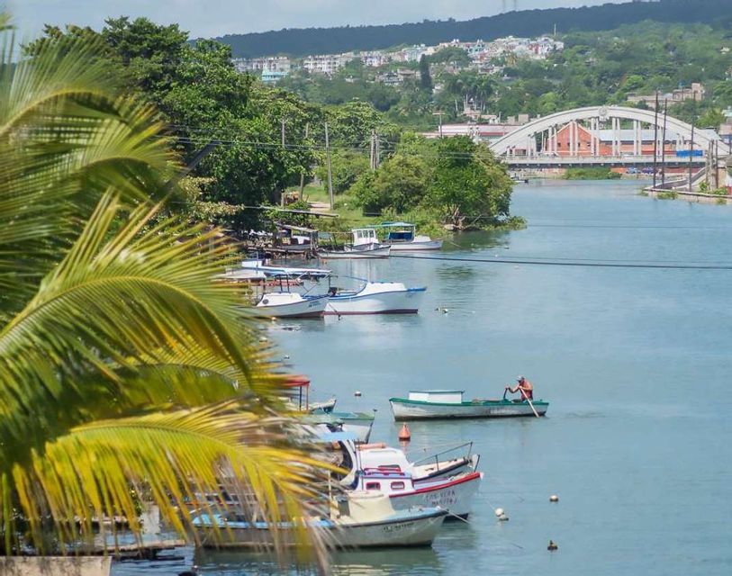 Pequeñas barcas amarradas en un río tranquilo con una persona remando. Un pueblo y un puente son visibles al fondo detrás de frondosos árboles.