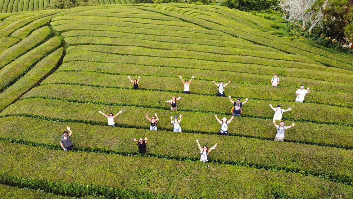Una vista aérea de un viaje en grupo de WeRoad con personas dispersas y saludando desde el interior de una gran plantación de té verde en terrazas.