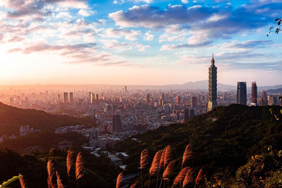 Un vaste paysage urbain avec un gratte-ciel proéminent au coucher du soleil, vu d'une colline verdoyante et de plantes ensoleillées au premier plan.