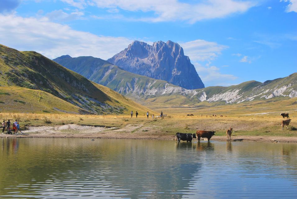 Un viaggio di gruppo WeRoad presso un lago alpino dove le mucche si abbeverano, con una grande vetta rocciosa che si staglia sullo sfondo sotto un cielo azzurro.